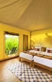 Туры в отель Paddy's Glamping Туры в отель Paddy's Glamping