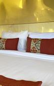 Туры в отель Paddy's Glamping Туры в отель Paddy's Glamping