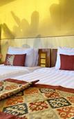 Туры в отель Paddy's Glamping Туры в отель Paddy's Glamping