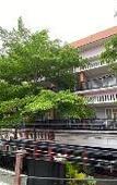 Туры в отель Safira Homestay Syariah Туры в отель Safira Homestay Syariah