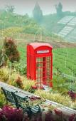 Туры в отель Dlawu Mountain Cottage Туры в отель Dlawu Mountain Cottage