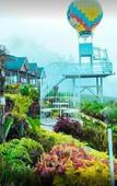 Туры в отель Dlawu Mountain Cottage Туры в отель Dlawu Mountain Cottage