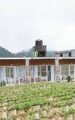 Туры в отель Dlawu Mountain Cottage Туры в отель Dlawu Mountain Cottage