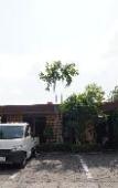 Туры в отель THE PANORAMA MALIOBORO HOTEL Туры в отель THE PANORAMA MALIOBORO HOTEL