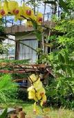 Туры в отель Van House Туры в отель Van House