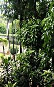 Туры в отель C'One Hotel Pulomas Туры в отель C'One Hotel Pulomas