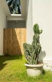 Туры в отель Susurro Villas Туры в отель Susurro Villas