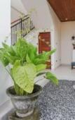 Туры в отель Kerti Suite Туры в отель Kerti Suite