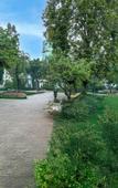 Туры в отель Capital O 94914 Kemayoran Guest House Туры в отель Capital O 94914 Kemayoran Guest House