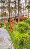 Туры в отель Embun Lawu Cottage Tawangmangu Туры в отель Embun Lawu Cottage Tawangmangu