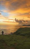 Туры в отель New Bintang Mandalika Туры в отель New Bintang Mandalika