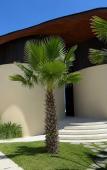 Туры в отель VANARA Resort & Spa Туры в отель VANARA Resort & Spa