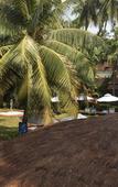 Туры в отель PRESA di GOA Туры в отель PRESA di GOA