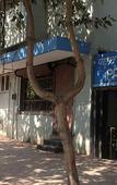 Туры в отель Pals Hotel Туры в отель Pals Hotel