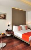 Туры в отель The Anya Hotel, Gurgaon Туры в отель The Anya Hotel, Gurgaon