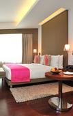 Туры в отель The Anya Hotel, Gurgaon Туры в отель The Anya Hotel, Gurgaon