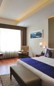 Туры в отель The Anya Hotel, Gurgaon Туры в отель The Anya Hotel, Gurgaon