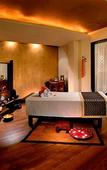 Туры в отель The Manor - New Delhi Туры в отель The Manor - New Delhi