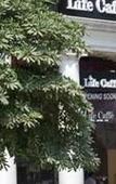 Туры в отель The Corus Hotel Туры в отель The Corus Hotel