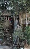 Туры в отель Lohagarh Fort Resort Туры в отель Lohagarh Fort Resort