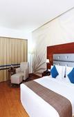 Туры в отель Hotel Abu Palace - Chennai Туры в отель Hotel Abu Palace - Chennai