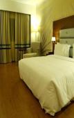 Туры в отель Hotel Abu Palace - Chennai Туры в отель Hotel Abu Palace - Chennai