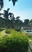 Туры в отель Angsana Oasis Spa & Resort Туры в отель Angsana Oasis Spa & Resort