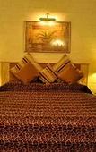 Туры в отель Golden Palms Hotel And Spa Туры в отель Golden Palms Hotel And Spa