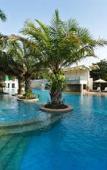 Туры в отель Palm Meadows Resort Туры в отель Palm Meadows Resort