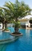 Туры в отель Palm Meadows Resort Туры в отель Palm Meadows Resort