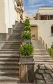 Туры в отель RAAS Devigarh Туры в отель RAAS Devigarh