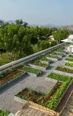 Туры в отель RAAS Devigarh Туры в отель RAAS Devigarh