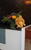 Туры в отель Sunrise Hill Resort Туры в отель Sunrise Hill Resort