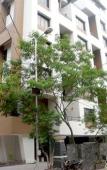 Туры в отель AR Suites Fontana Bay Туры в отель AR Suites Fontana Bay