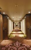 Туры в отель Taj City Centre New Town Kolkata Туры в отель Taj City Centre New Town Kolkata