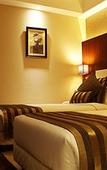 Туры в отель Celesta Kolkata Туры в отель Celesta Kolkata