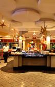 Туры в отель Polo Floatel Kolkata Туры в отель Polo Floatel Kolkata