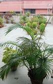 Туры в отель Hotel Rushabh Home Туры в отель Hotel Rushabh Home