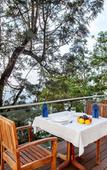 Туры в отель Sterling Yercaud Туры в отель Sterling Yercaud
