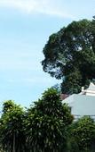 Туры в отель Sterling Yercaud Туры в отель Sterling Yercaud