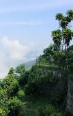 Туры в отель Sterling Yercaud Туры в отель Sterling Yercaud