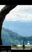 Туры в отель Blackberry Hills Munnar - Nature Resort & Spa Туры в отель Blackberry Hills Munnar - Nature Resort & Spa