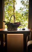 Туры в отель Blackberry Hills Munnar - Nature Resort & Spa Туры в отель Blackberry Hills Munnar - Nature Resort & Spa