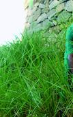 Туры в отель Blackberry Hills Munnar - Nature Resort & Spa Туры в отель Blackberry Hills Munnar - Nature Resort & Spa