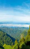 Туры в отель Blackberry Hills Munnar - Nature Resort & Spa Туры в отель Blackberry Hills Munnar - Nature Resort & Spa