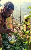 Туры в отель Blackberry Hills Munnar - Nature Resort & Spa Туры в отель Blackberry Hills Munnar - Nature Resort & Spa