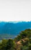 Туры в отель Blackberry Hills Munnar - Nature Resort & Spa Туры в отель Blackberry Hills Munnar - Nature Resort & Spa