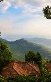 Туры в отель Blackberry Hills Munnar - Nature Resort & Spa Туры в отель Blackberry Hills Munnar - Nature Resort & Spa