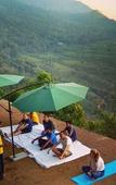 Туры в отель Blackberry Hills Munnar - Nature Resort & Spa Туры в отель Blackberry Hills Munnar - Nature Resort & Spa