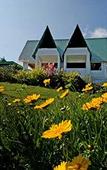 Туры в отель Camelot Resort Туры в отель Camelot Resort
